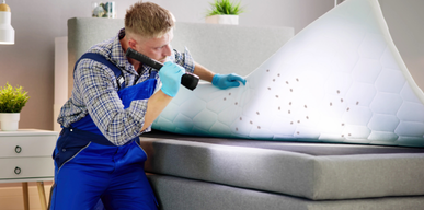 Bed Bugs Control